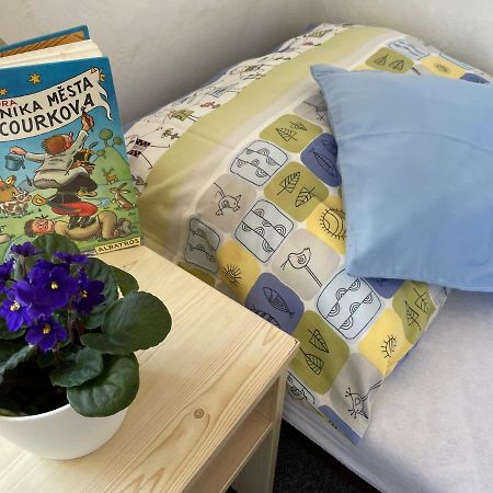 Penzion Slunecnice Dvůr Králové nad Labem Zewnętrze zdjęcie