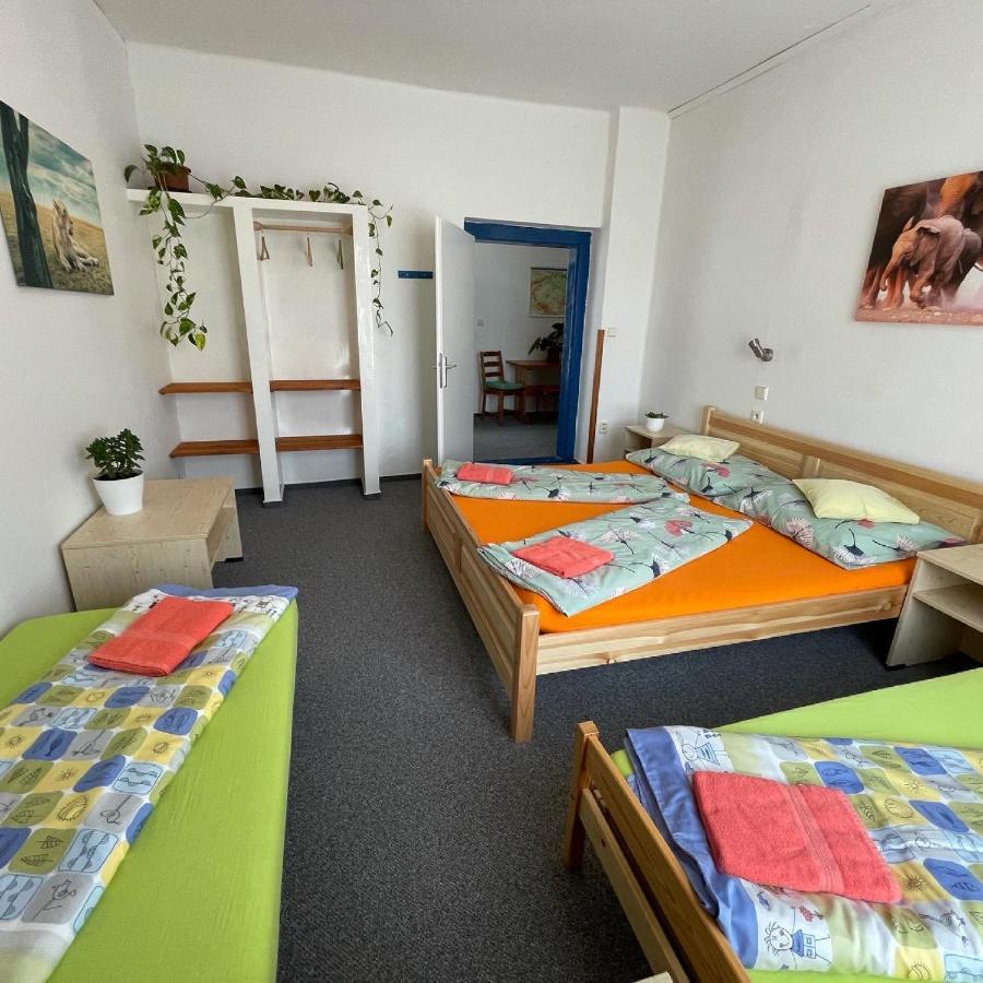 Penzion Slunecnice Dvůr Králové nad Labem Zewnętrze zdjęcie