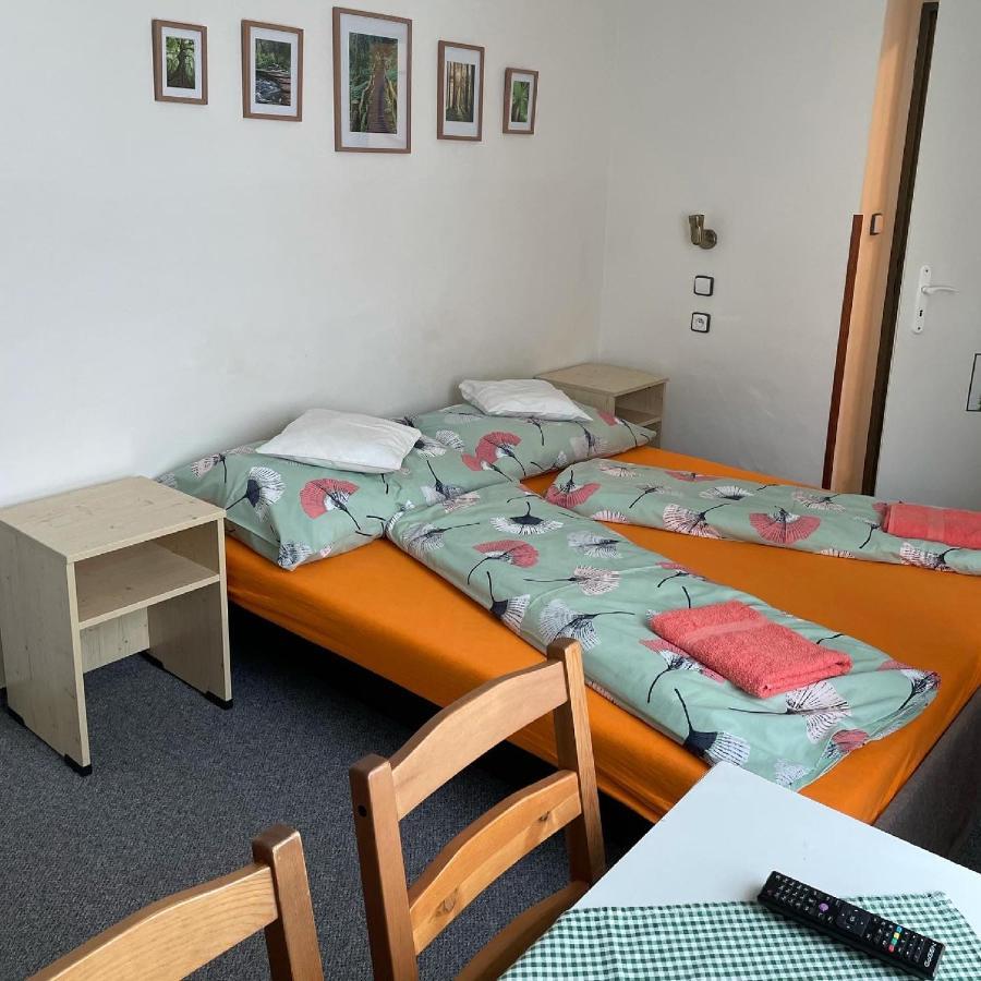 Penzion Slunecnice Dvůr Králové nad Labem Zewnętrze zdjęcie