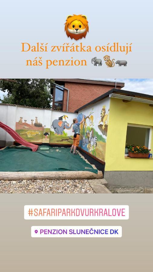 Penzion Slunecnice Dvůr Králové nad Labem Zewnętrze zdjęcie