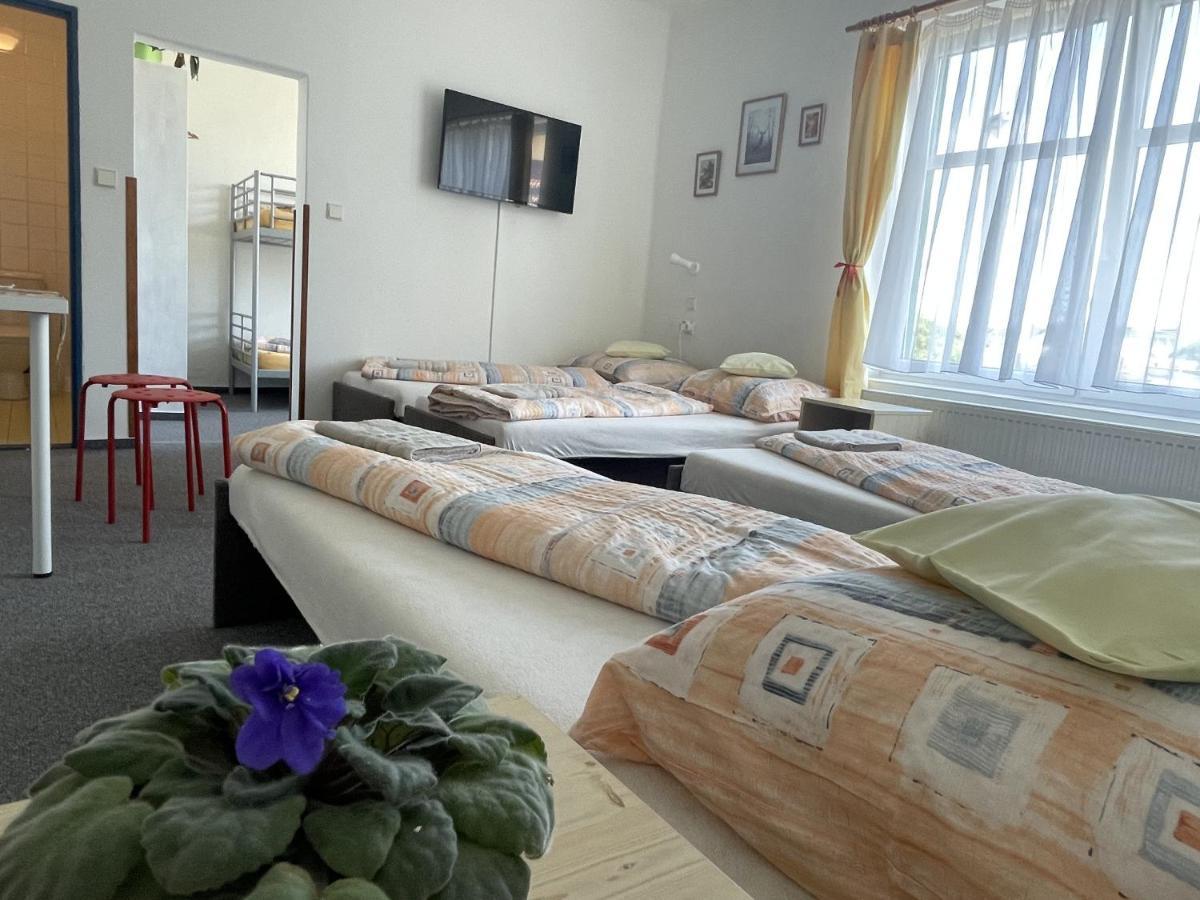 Penzion Slunecnice Dvůr Králové nad Labem Zewnętrze zdjęcie