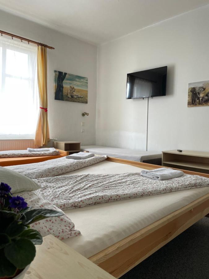 Penzion Slunecnice Dvůr Králové nad Labem Zewnętrze zdjęcie