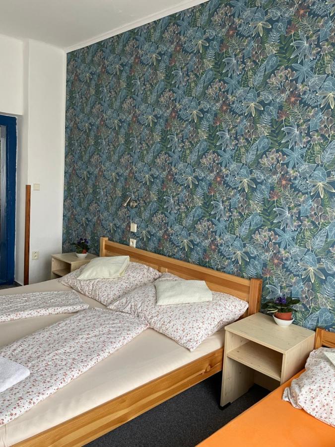 Penzion Slunecnice Dvůr Králové nad Labem Zewnętrze zdjęcie