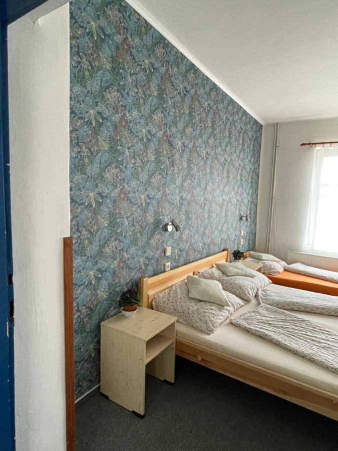 Penzion Slunecnice Dvůr Králové nad Labem Zewnętrze zdjęcie