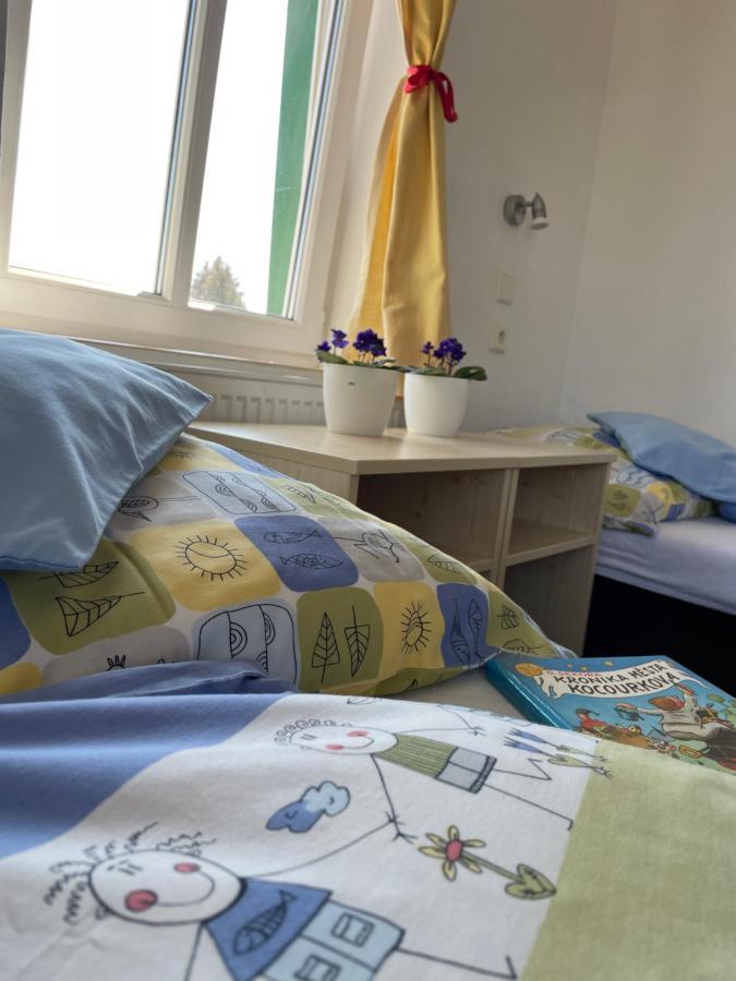 Penzion Slunecnice Dvůr Králové nad Labem Zewnętrze zdjęcie