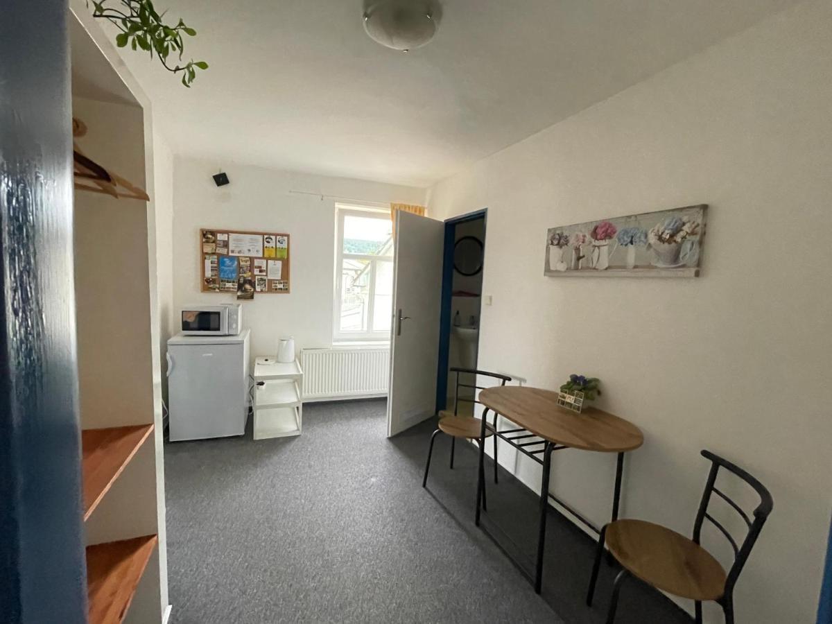 Penzion Slunecnice Dvůr Králové nad Labem Zewnętrze zdjęcie
