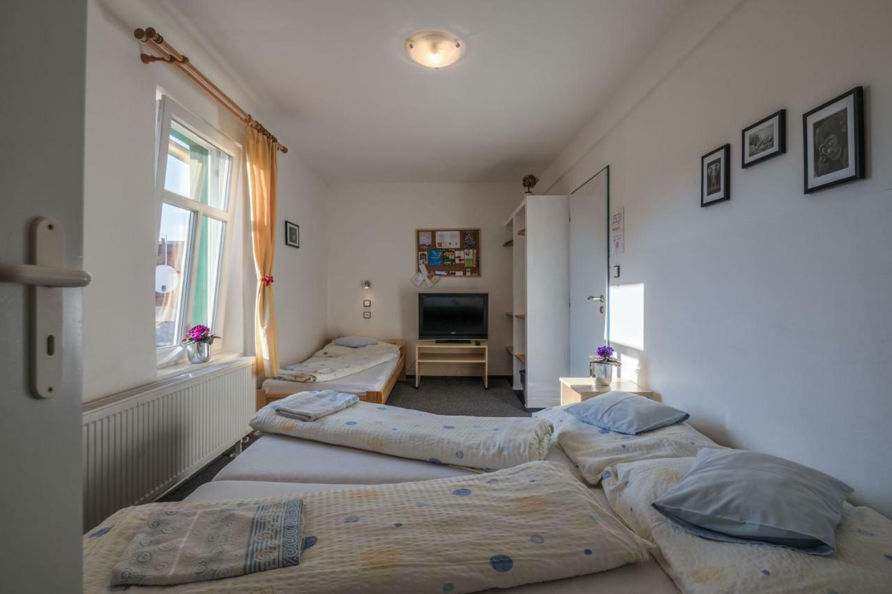 Penzion Slunecnice Dvůr Králové nad Labem Zewnętrze zdjęcie